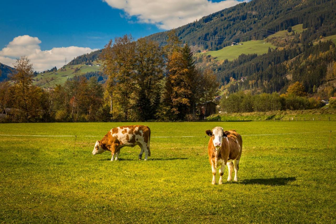 Bio-Bauernhof Obertrattenbachhof Neukirchen am Großvenediger Esterno foto